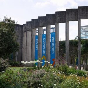 Paseo Esc. 5 (Ambos turnos)